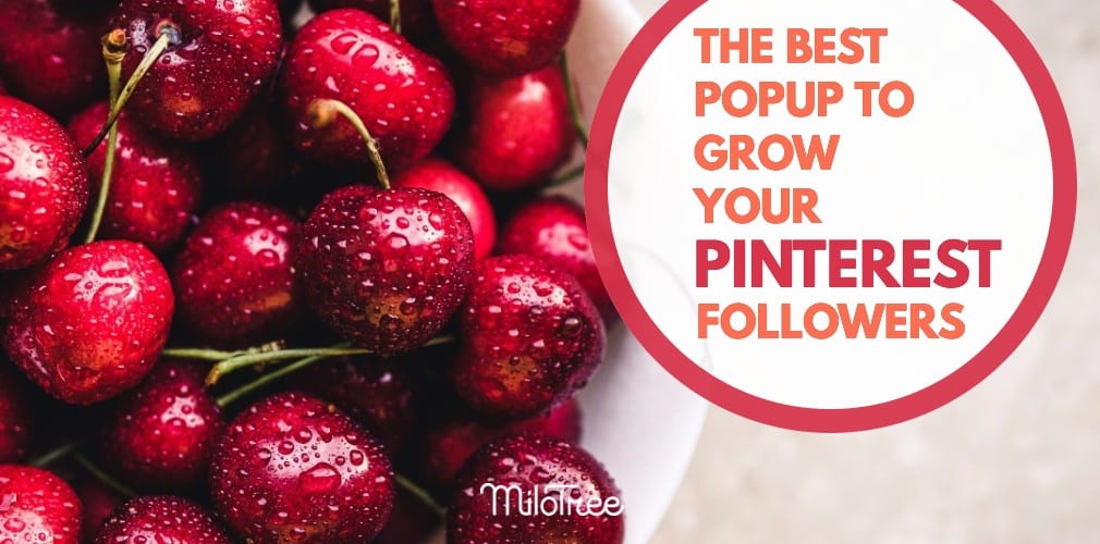 best-pinterest-popup-plugin-to-grow-your-follwers