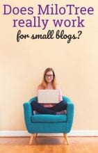 Want To Know The 3 Important Ways Milotree Helps Small Blogs Milotree